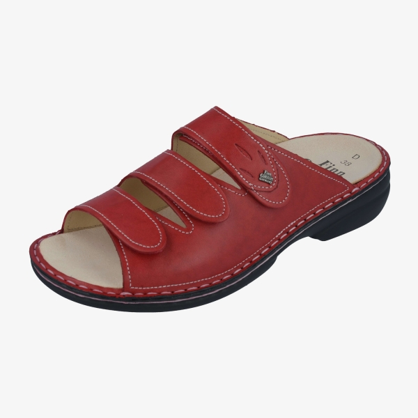 Kos pommodore